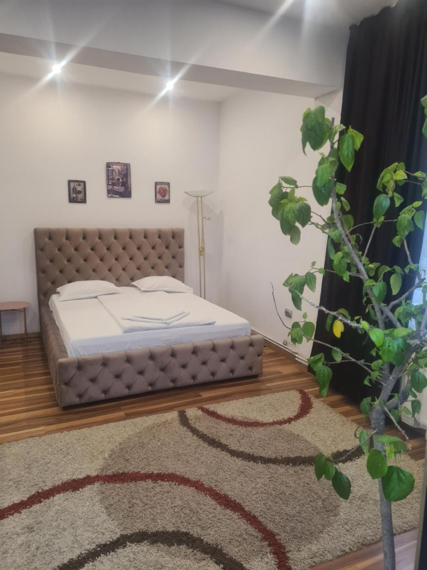 Pensiunea Corina Boutique Craiova Exterior photo
